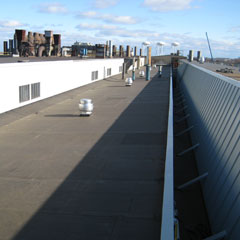 EPDM Zoom