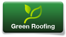 Green Roofing